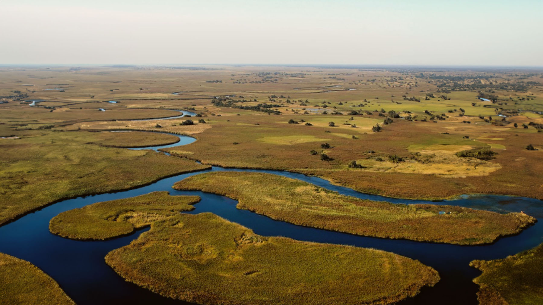 Okavango Delta