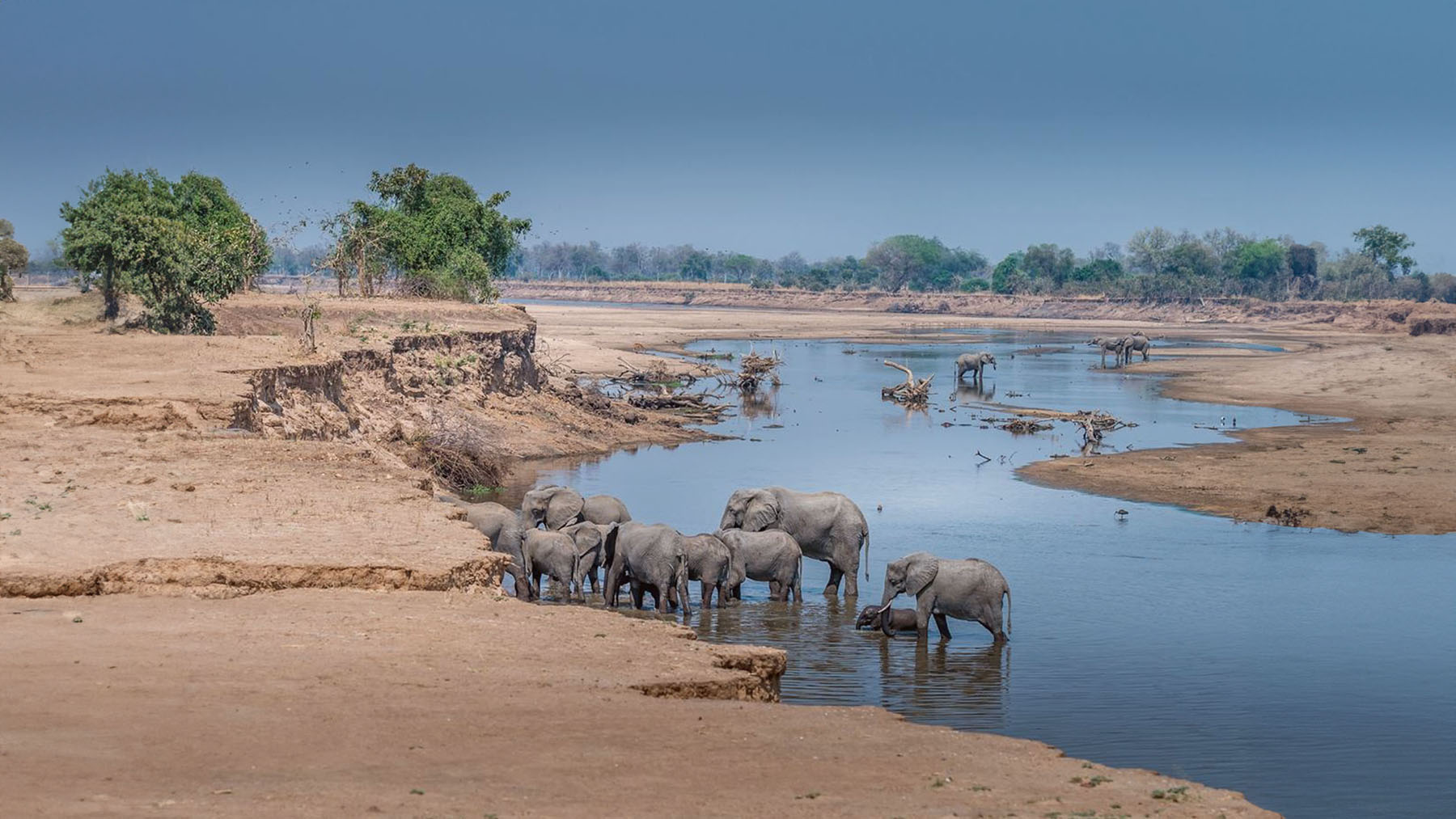 Luangwa